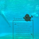 돌고래약품 이미지