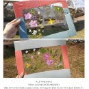 엄마표 영어 놀공법 1주 차 이웃님들 후기_함께 성장하는 우리, 완벽주의보다 완료주의!