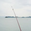 세월낚기 이미지