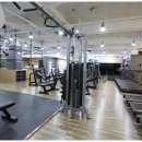 M휘트니스 이미지