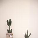 만세농장 이미지