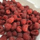 강원도 동해🌊🐳🐟🐙 이미지