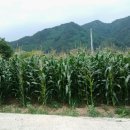 상수리숲농장 이미지