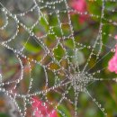 창신황제공인중개사사무소 이미지