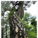 인화농장 이미지