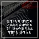 더에이징 | 습식코팅제 선택법과 더클래스 워터에이징 후기 고농축 원액으로 차별화된 관리 꿀팁