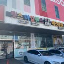 펫츠 아일랜드 이미지