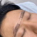 더디자인선 이미지