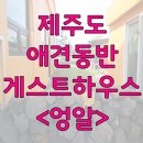 엉알게스트하우스 이미지