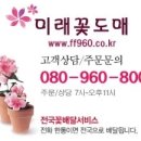 홍란농장 이미지