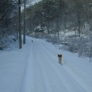 용연농장 이미지