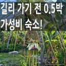 거창오토바이 - 북구 노원동로 28 | 빠당바이 숙소 추천｜길리 가기 전 0.5박 하기 좋은 JEPUN INN 후기