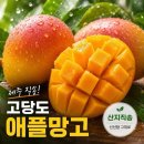애플망고