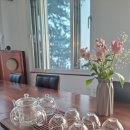 트리나하우스 이미지