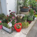 동성공원 이미지