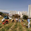 영수농장 이미지