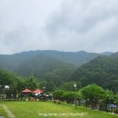 금낭화타운 이미지