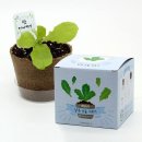 팜팜농장 이미지