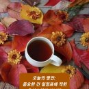 나훈아 - 삶 이미지