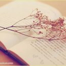 평해작은도서관 이미지