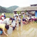 두레영농조합법인 이미지