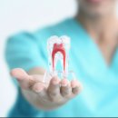 연세좋은손치과의원 이미지