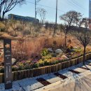 작은정원 이미지