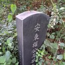 보타선원 네이버블로그