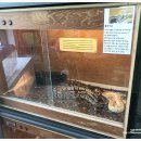 요술곰 동물원 이미지