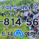 모드니숲 이미지