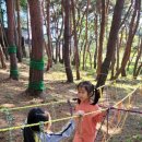 청파초교(병설유치원) 이미지