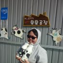 &lt;농촌 에듀팜&gt; 또나따 목장, 밤에 짠 우유, 스트링 치즈 맛보기~~