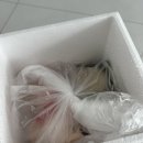 닭가슴살햄,건강한 햄 추천 : 헬스앤뷰티 더 맛있는 바른햄 섭취후기