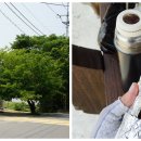 진상마을회관 이미지