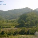 텃골천 이미지