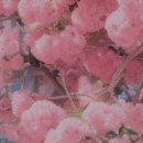 이송태양광발전소 이미지