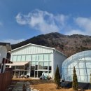 구목씨의 휴식 이미지