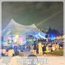 수원제1야외음악당 | 2025 수원제1야외음악당 잔디밭 음악회 밤을 잊은 그대에게 후기