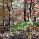 동활리마을회관 이미지