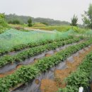 종호농장 이미지