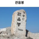 금산 인삼관 Daum카페