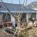 촌집식당 이미지