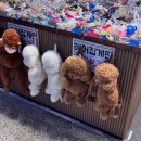 씨유 강남스타일점 | 6월 일상. 유월은 어째서 여름의 시작입니까?