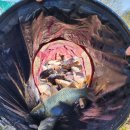 송말낚시터 이미지