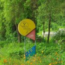 장현호 베이커리 | [김포] 산책부터 문화생활까지 한번에 '보름산미술관 카페' (주차, 오솔길, 작은도서관, 전시)