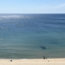 죽도세탁 이미지