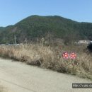 바다부동산공인중개사무소 이미지