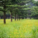 고담한정식 이미지