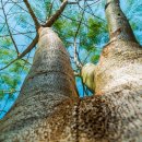 두류공원관리사무소 이미지