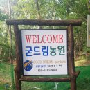 굳드림 네이버블로그